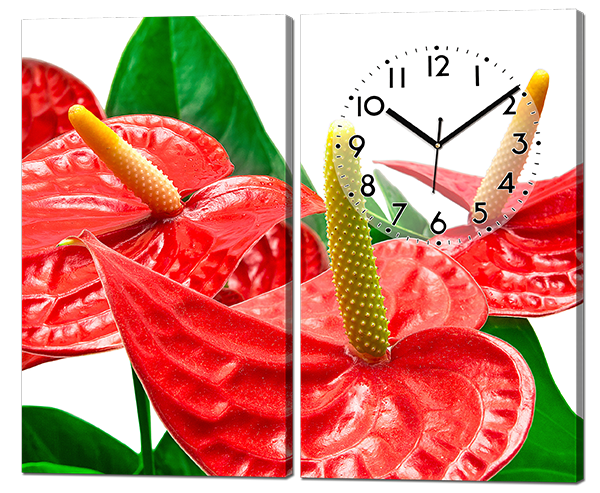 Модульна картина з двох частин Червоні квіти
