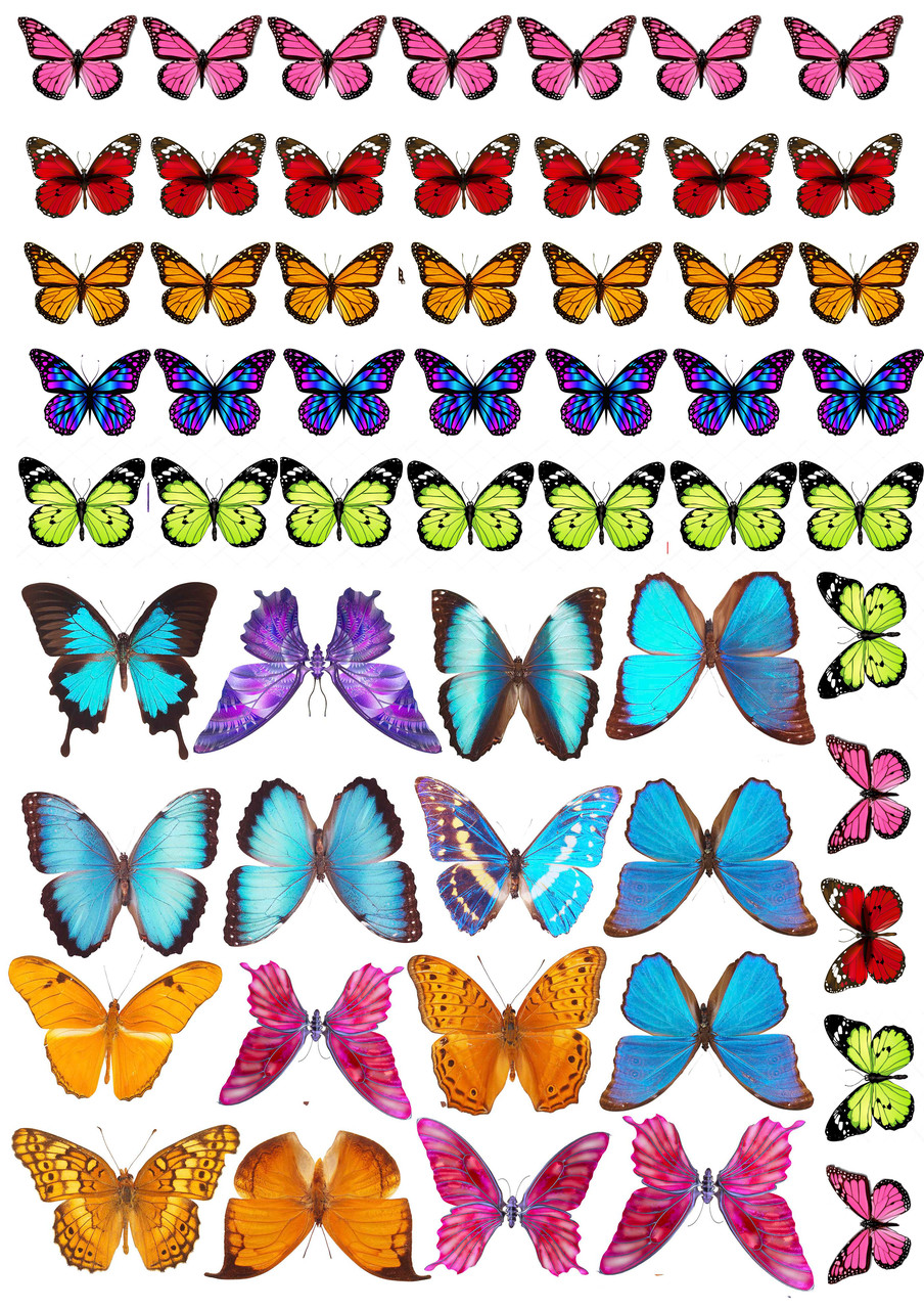 Бабочки для торта картинки для печати. Торт «бабочки». Бабочки цветные. Бабочка рисунок. Бабочки картинки.