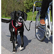 Trixie Biker-Set TX-1287 шлея транспортувальна для собак з кріпленням до велосипеда