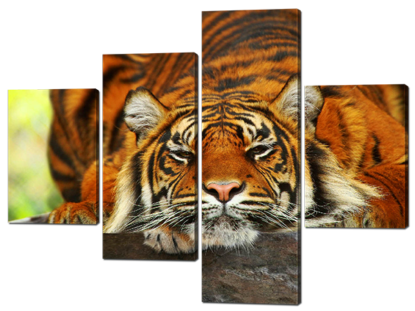 Картина модульная Тигр на отдыхе