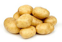Пакетоване насіння Картоплі