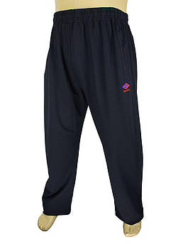 Чоловічі спортивні штани Dekons 1`071 великого розміру темно-сині