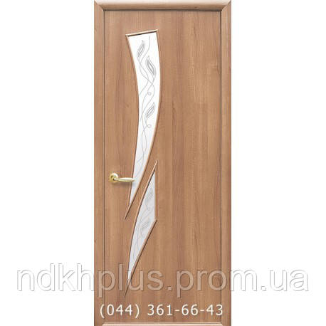 Двери межкомнатные Камея экошпон со стеклом сатин с рисунком