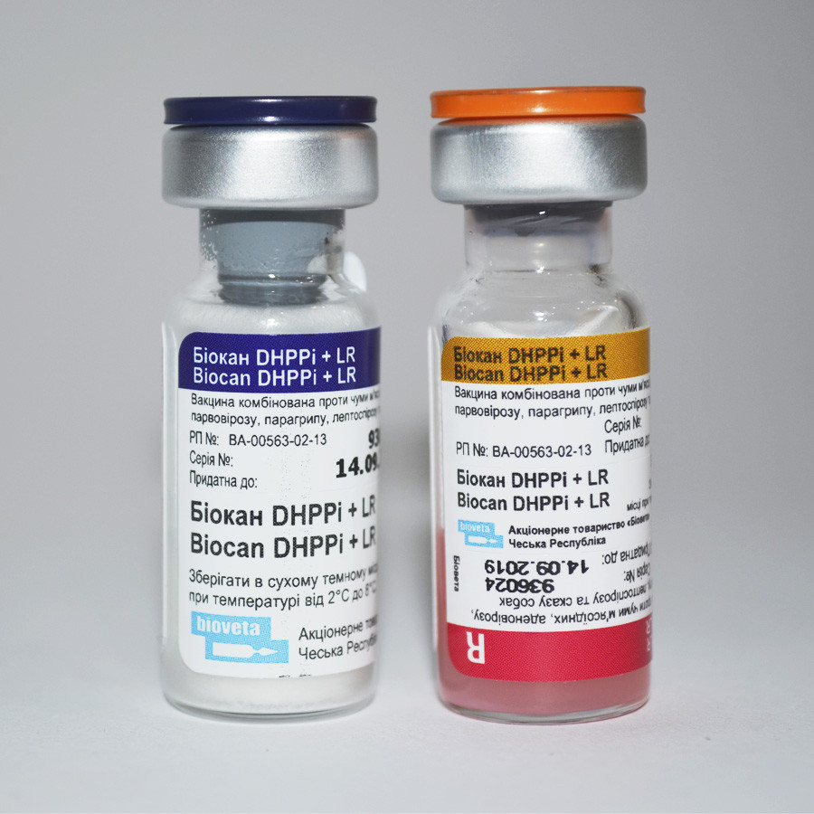 Чешская вакцина отзывы. Вакцина Биокан DHPPI+L Д/собак. Биокан LR L вакцина для собак. Биокан вакцина для собак. Чешская вакцина для собак Биокан.