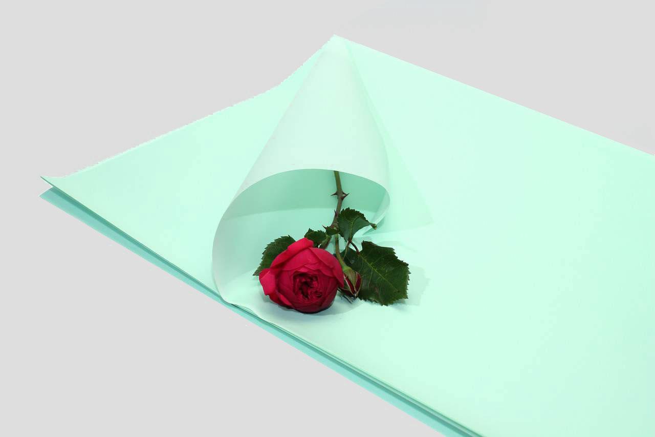 Флористическая бумага для упаковки цветов (color-001) упаковка 20 лист