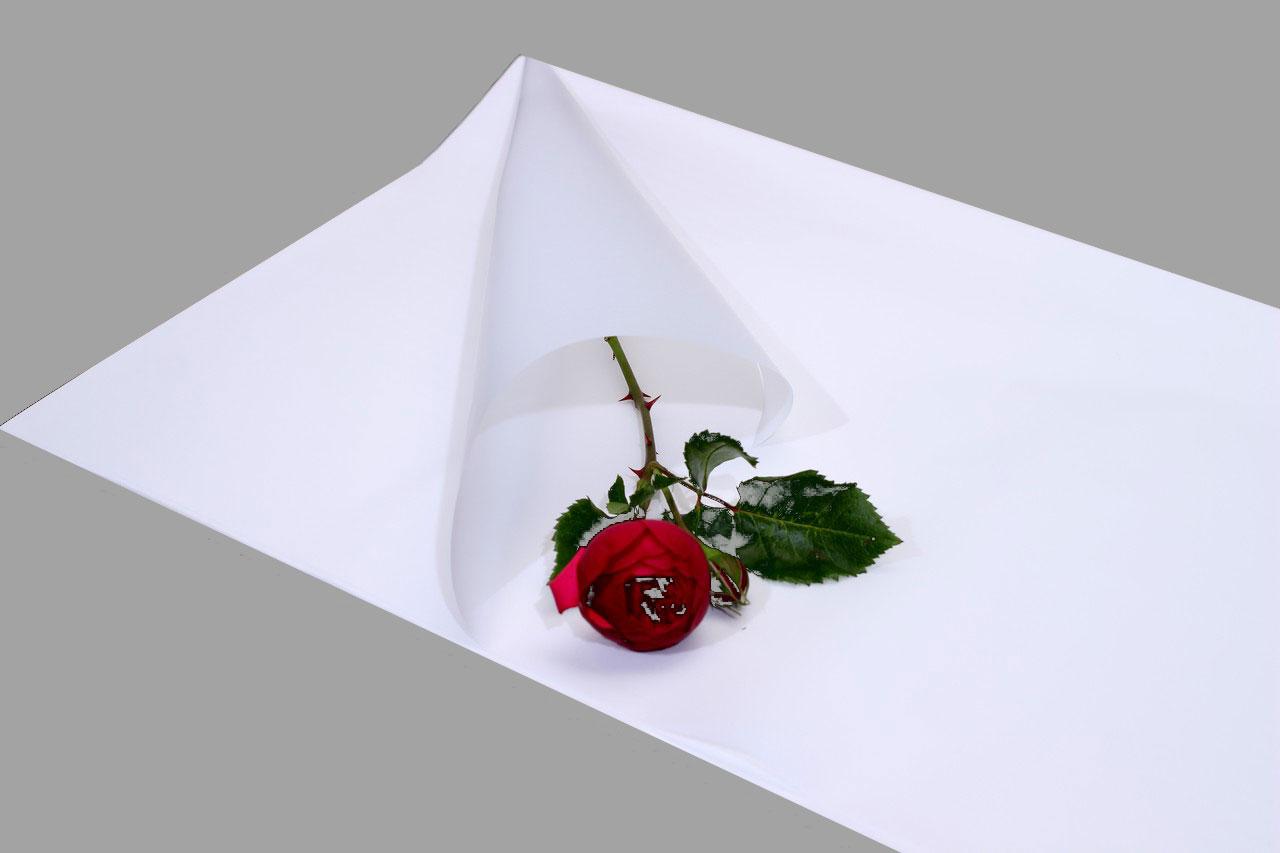 Флористическая бумага для упаковки цветов (color-008)