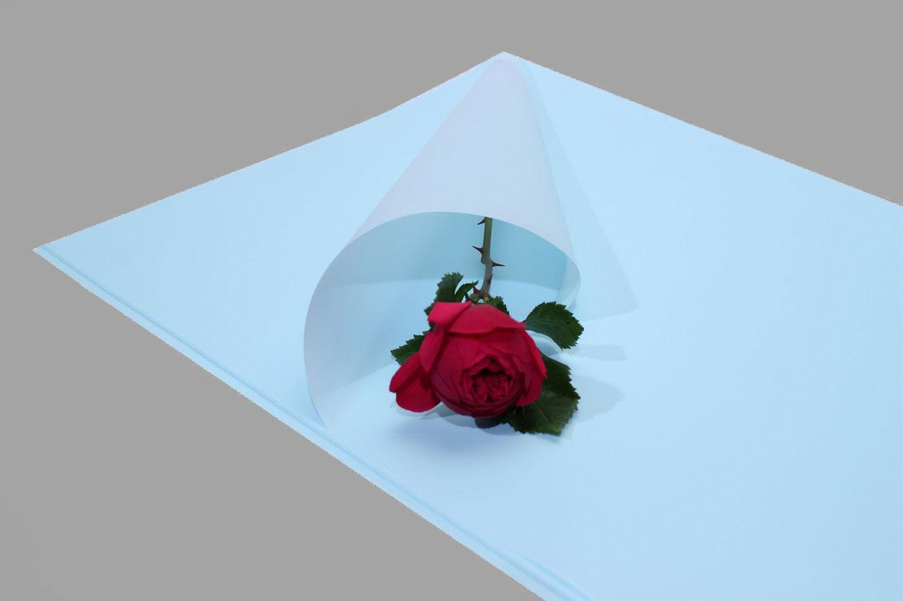Флористическая бумага для упаковки цветов (color-013) пачка 20 л.