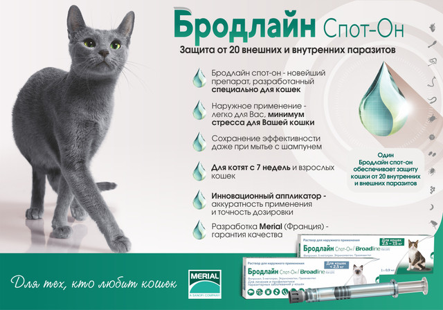 Инструкция по применению капель Бродлайн Спот-Он для лечения и профилактики паразитарных заболеваний у кошек. Защита от клещей, блох и глистов на протяжении 1 месяца