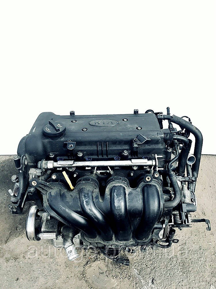 Купить g4fc 1.6. Двигатель Киа Церато 1.6 g4fc. G4fc 1.6 Hyundai. Двигатель Киа Рио 1.6 g4fc. Kia Ceed 1,6 g4fc.