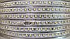 Светодиодная лента SL-584L SMD 2835/120 220V белая IP68 (1м) Код.59327, фото 3