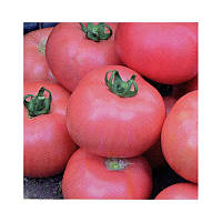 Насіння томату Дімероза F1 | Dimerosa (250н)