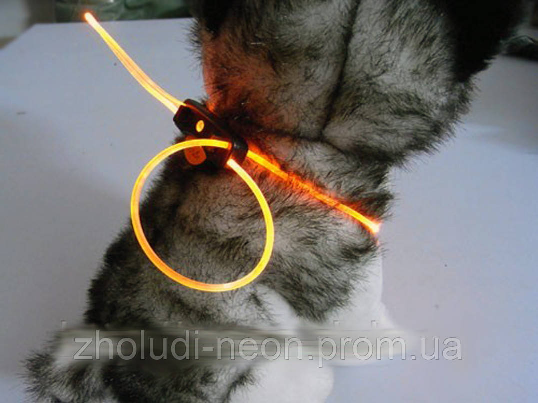 светящийся ошейник для кошки