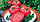 Томат Рожева Мрія салатний сорт скоростиглий дуже смачний соковитий і солодкий, упаковка 0,1 г, фото 2