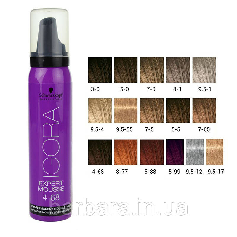 

Тонирующий мусс для волос Schwarzkopf Professional Igora Expert Mousse