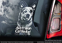 Австралійський Хілер (вівчарська собака) (Australian CattleDog) стікер