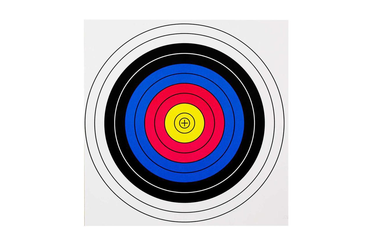 

Мишень для стрельбы из лука и арбалета большая (60x60 см) - 10 шт