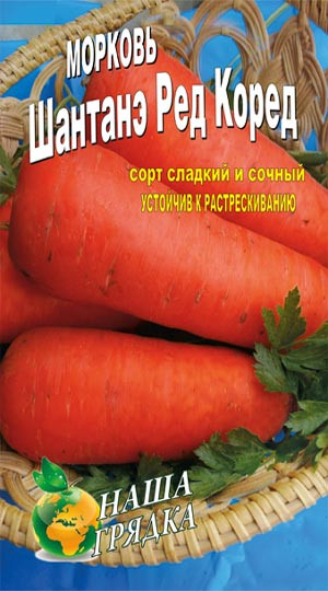 семена овощей днепропетровск