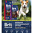Сухой корм Брит Премиум для взрослых собак средних пород М (Brit Premium Adult M) с курицей, 15 кг, фото 2