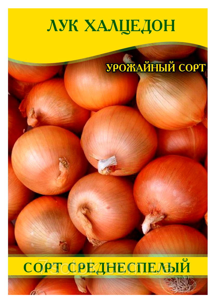 Семена лука Халцедон, 0,5кг:  оптом, цена 300 /упаковка - 7 Соток