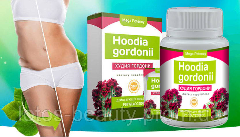 Hoodia Gordonii - Концентрат для похудения. Акция 1+1=3