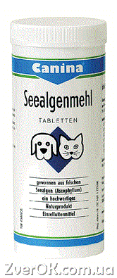 

Canina Seealgen TABLETTEN (Канина Сиалген - морские водоросли для улучшение пигментации. аминокислоты 730тб