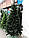 Искусственная новогодняя елка ЛЕСНАЯ с белыми кончиками 100 см, фото 3