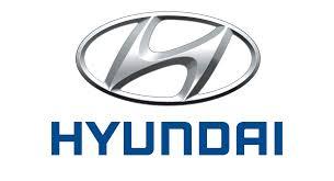 

Молдинг задней двери левый Hyundai OE 877313J000