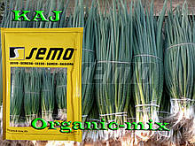 Цибуля на зелень КАЙ / KAJ, ТМ SEMO (Чехія), проф. пакет 500 грам (орієнтовно 200 000 насінин)