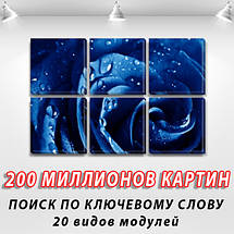 Модульна картина Синя троянда в росі на Полотні, 72x110 см, (35x35-6), фото 2
