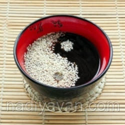 bao qian. wo zhe dong pu tong hua translation bao qian. wo zhe dong pu tong hua translation