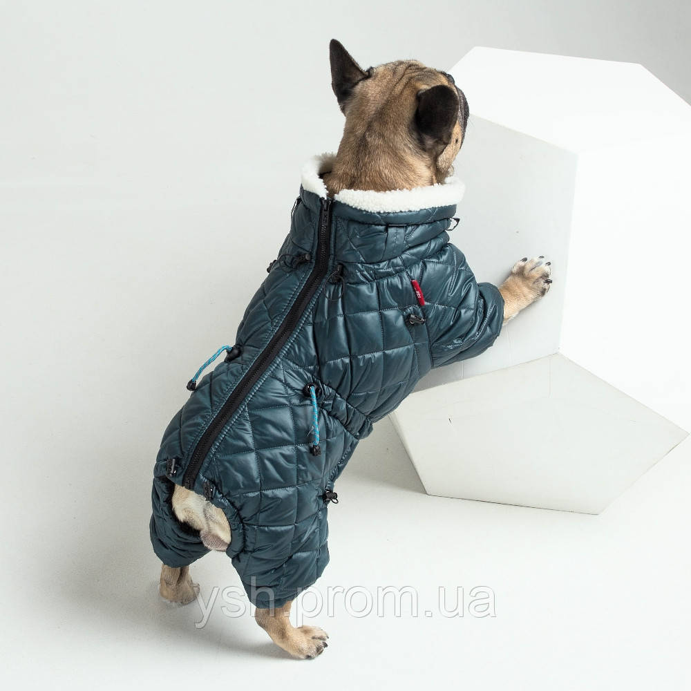 одежда для собак зимний комбинезон