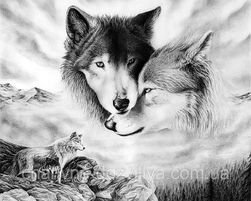 

Набор алмазной вышивки (мозаики) "Пара волков. Любовь и верность"