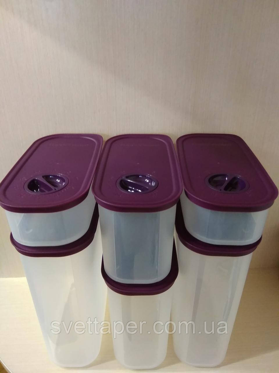 

Гранд набор Компактусов-таймеров 6шт Tupperware, Прозрачный с бордовой крышкой