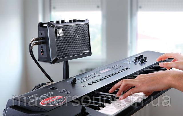 Комбоусилитель Roland Mobile Cube купить в MUSICCASE