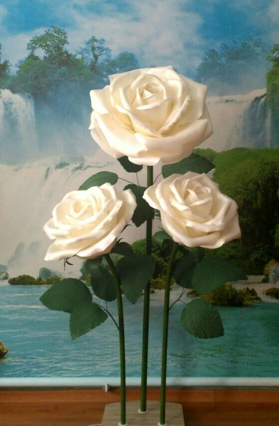 Большие Белые Розы Фото