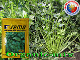 Семена, Сельдерей листовой ЕМНИ (JEMNY) от ТМ SEMO (Чехия), проф. пакет 25 грамм, фото 2