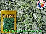 Семена, Сельдерей листовой ЕМНИ (JEMNY) от ТМ SEMO (Чехия), проф. пакет 25 грамм, фото 3