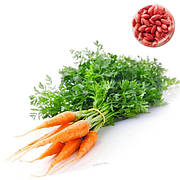 Дражоване насіння моркви