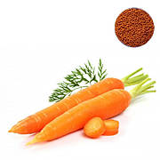 Инкрустированные семена моркови