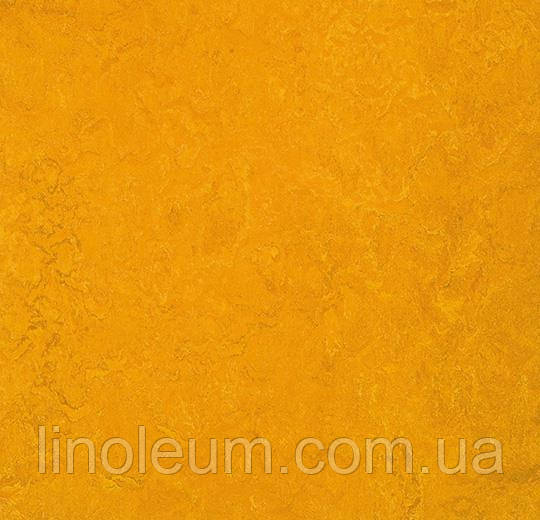 

3125 Marmoleum Fresco - Натуральный линолеум (2,5 мм), Оранжевый