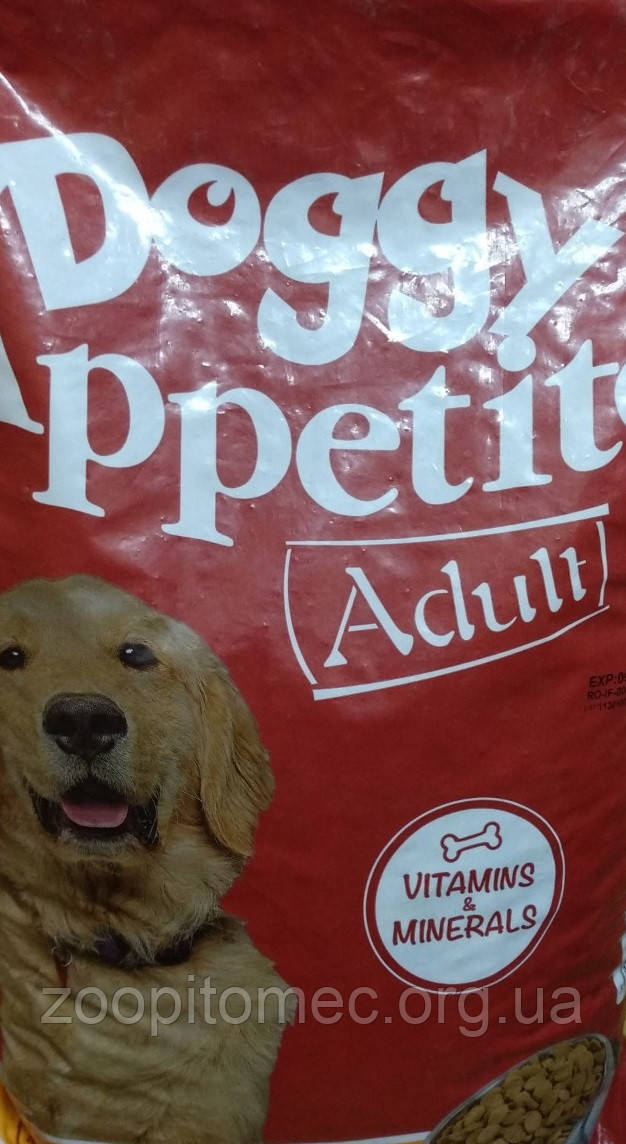 doggy appetite junior