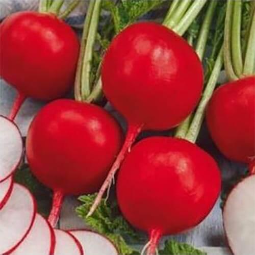

Семена редиса Престо Satimex 500 г (банка) (Проф упаковка 500 г)