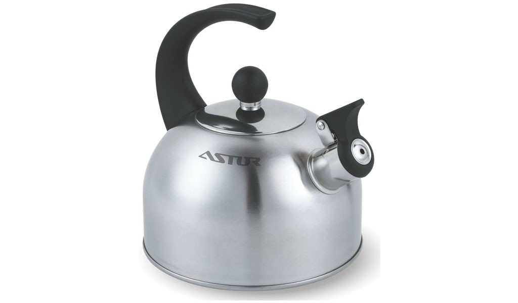 Чайник ASTOR AST 17020 универсальный домашний чайник нержавейка со свистком 2 л