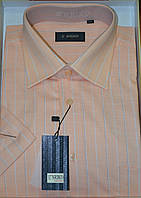 ПЕРСИКОВА сорочка з коротким рукавом ENRICO 100%бавовна (розміри M. L. XL.XXL) R