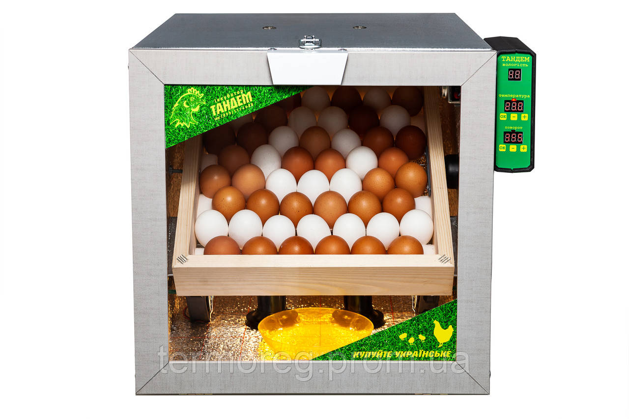 Где Купить Перепелиные Яйца Для Инкубатора