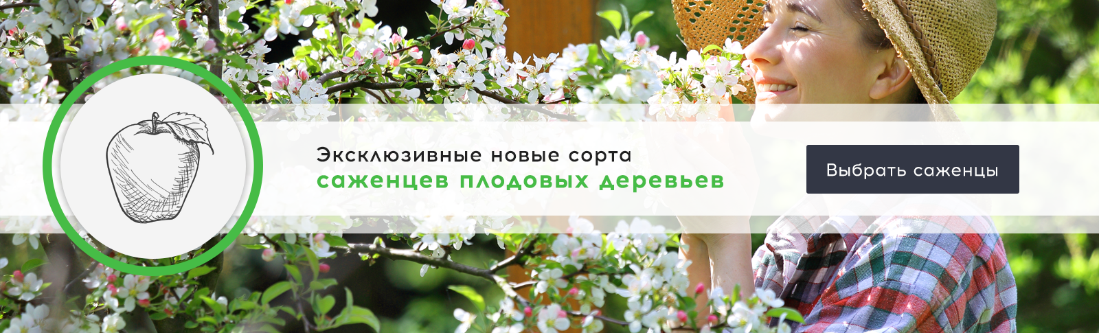 Магазин Саженцев Мелитополь Магазин Саженцев Мелитополь