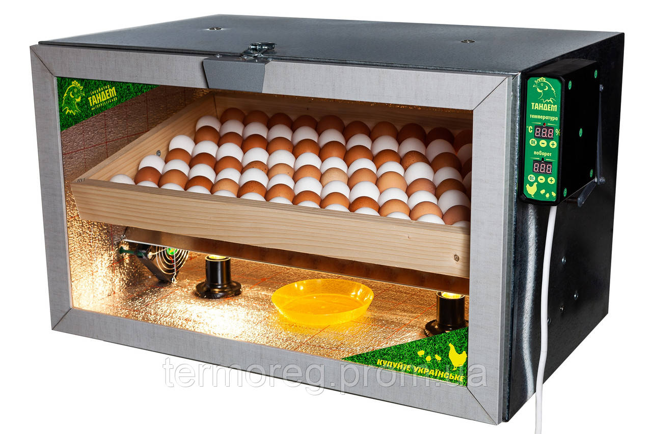 

Инкубатор Тандем 100 автомат ламповый (на 100 куриных яиц)