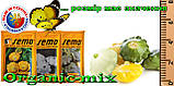 Патиссон мини, оранжевый САНСЕАНС F1 / SUNSEANCE F1, ТМ Semo (Чехия) 500 семян, проф. пакет, фото 2