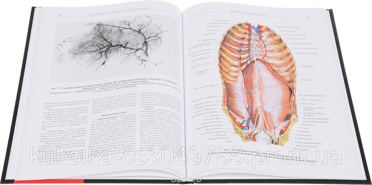 Синельников анатомия. Ангиология атлас Синельников. Атлас по анатомии Синельников 3 том сердце. Анатомический атлас Синельникова. Атлас анатомии человека Синельников череп.