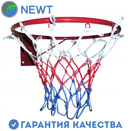 Кольцо баскетбольное Newt 300 мм, сетка в комплекте